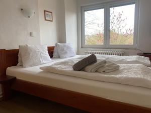 Postel nebo postele na pokoji v ubytování Penzion Janata