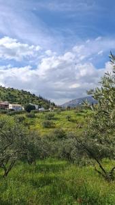a field of grass with a hill in the background at Villa Bellido in Alora