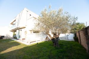 a white house with a tree in the yard at GuestHost- Exclusive Villa with Private Garden in Padova
