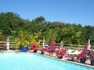 a swimming pool with potted plants and flowers at Holiday Home La Caverne Des Hirondelles in Saint-Joseph