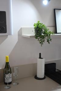 a bottle of wine and a plant on a counter at Moda Studio Apartment in Ohrid