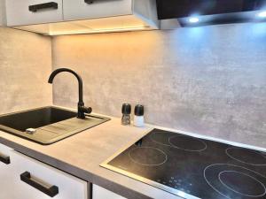 a kitchen with a sink and a counter top at Titania 3 in Grömitz