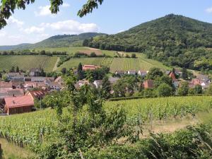 a town in a vineyard with mountains in the background at Ferienwohnung "Dorfblick" in Leinsweiler +15 photos