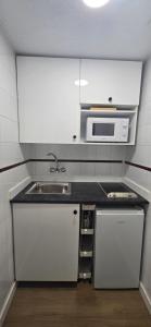 una piccola cucina con lavello e microonde di Triana Apartahotel a Siviglia