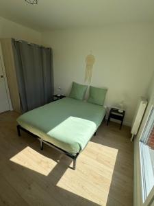 ein Schlafzimmer mit einem grünen Bett in einem Zimmer in der Unterkunft Le Cocon Urbain in Amiens