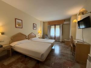 Postel nebo postele na pokoji v ubytování Hotel el Sol