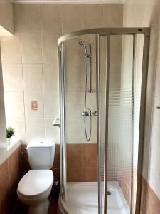 a bathroom with a shower with a toilet and a sink at Villa Agapella 250m from the beach - Agapella Apartamemty in Sopot