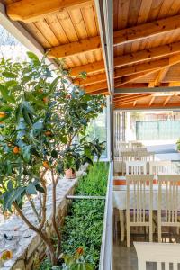 Gallery image of Aleksander ApartHotel in Ksamil