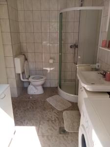 a bathroom with a toilet and a shower and a sink at Apartment Buic in Pula +17 photos