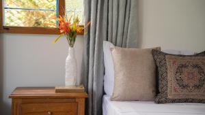 Fotografie z fotogalerie ubytování Las Casas de Tomate v destinaci Guatapé