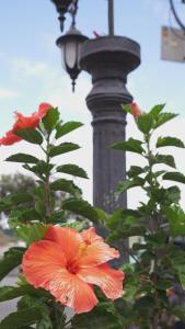 Fotografie z fotogalerie ubytování Las Casas de Tomate v destinaci Guatapé