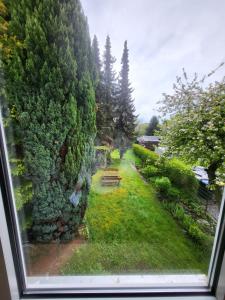 Zahrada ubytování Pension Krohn + 17 fotografií