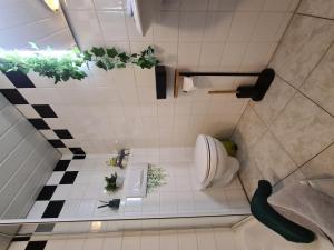 ein Badezimmer mit WC und Pflanzen auf dem Boden in der Unterkunft Ferienwohnungen Dorfliebe Dörnberg GARTENBLICK in Bestwig + 6 Fotos