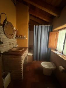 a bathroom with a sink and a toilet and a mirror at El Canto del Gallo in Ranedo de Curueño +37 photos