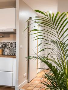 a plant in the hallway of a kitchen at Studio cosy Villefranche-Sur-Saône in Villefranche-sur-Saône +4 photos