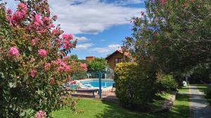 a garden with a swimming pool and pink flowers at Cabañas Monteolivos in Merlo