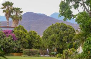 a group of trees and mountains in the background at Hotel Hacienda Los Laureles in Oaxaca City