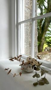 a bunch of flowers sitting on a window sill at CLIFF River Lodge - Luxury Fishing Lodge in Ballyduff +10 photos