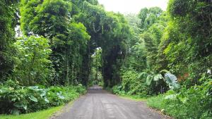 Gallery image of Hale O Nani Mala Pua in Pahoa +16 photos