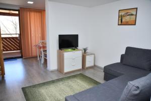 TV a/nebo společenská místnost v ubytování Föveny Apartmanok