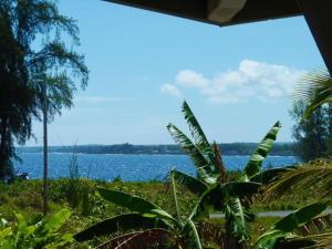 Φωτογραφία από το άλμπουμ του Hale Ki'i Maka Manu σε Keaau +42 φωτογραφίες