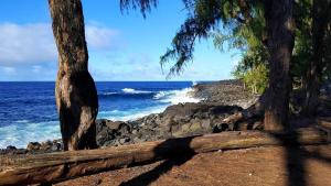 Φωτογραφία από το άλμπουμ του Maluhia Hale σε Keaau