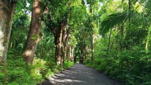 Φωτογραφία από το άλμπουμ του Maluhia Hale σε Keaau +17 φωτογραφίες