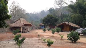 清道杜道都住宿加早餐旅馆的两座小屋和一辆卡车停在田野里 更多27张照片