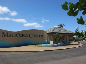 Gallery image of Maalaea Kai 316 in Kihei