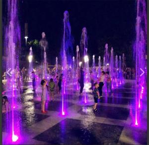 a fountain with purple lights in a park at night at Ботаника , парк долина роз аеропорт in Chişinău