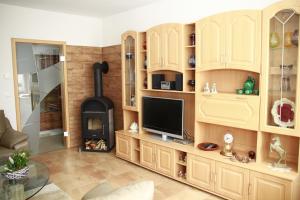 a living room with a tv and a fireplace at Jürgen Ferienwohnung in Wernigerode