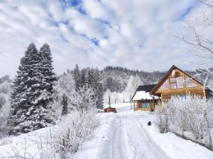 Căsuța de la munte v zimě