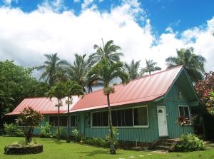 a green house with a red roof and palm trees at Wainiha Beach Hale in Wainiha +16 photos