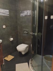 a bathroom with a toilet and a glass shower at 14-stka in Krościenko +5 photos