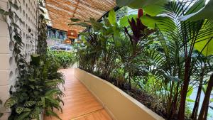an indoor garden with plants in a building at M de oro Apartamentos Muuk boutique POBLADO in Medellín