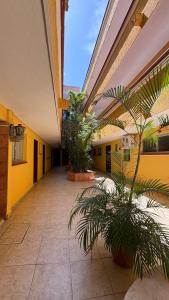 an empty hallway of a building with plants at Suites Cancun Center in Cancún