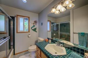 a bathroom with a sink and a toilet and a mirror at Hale Hamakua in Papaaloa +16 photos