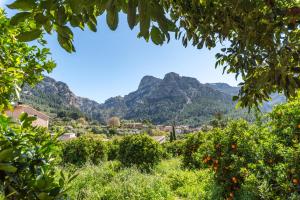a view of a vineyard with mountains in the background at Finca Xesca in Sóller +18 photos