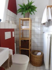 a bathroom with a toilet and a plant on a shelf at Wohnen&Wellness Kurgartenstrasse in Travemünde
