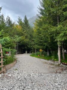 a gravel road with trees and a mountain in the background at Bujtina Aroma E Malit in Valbonë