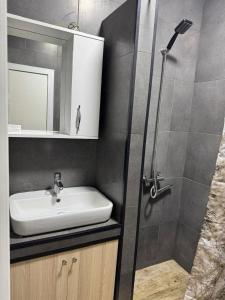 a bathroom with a sink and a shower at Apartnuca in Batumi +8 photos