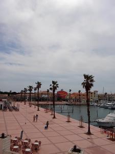 einen Pool mit Palmen und einen Yachthafen in der Unterkunft superbe appartement vue port in Leucate-Plage