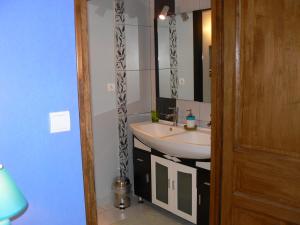ein Bad mit einem Waschbecken und einem Spiegel in der Unterkunft La Maison de l'Etang in Sampigny
