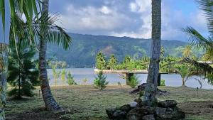 a beach with two palm trees and a body of water at Tahiti Iti - Fare Pihiti Spot in Paui