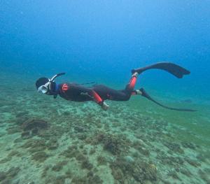 une personne en combinaison humide nageant dans l'océan dans l'établissement Hotel Bahía Aguacate, à Capurganá
