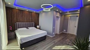 una camera con un letto e un soffitto blu di Vila LakeView Snagov, Terasă pe Acoperiș, Self Check-in, Parcare Privată a Snagov Altre 22 foto