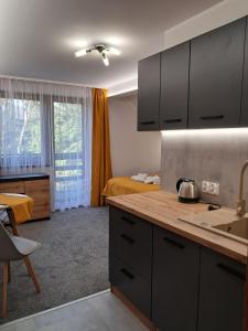 cocina con fregadero y dormitorio con cama en Willa Paweł z balią i jacuzzi, en Karpacz