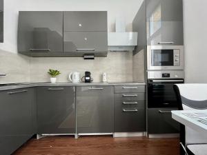 a kitchen with stainless steel cabinets and a microwave at JohnGold Gold Room in Debrecen