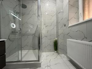 a shower with a glass door in a bathroom at JohnGold Gold Room in Debrecen