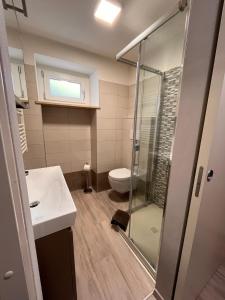 a bathroom with a shower and a sink and a toilet at Abete Bianco in Mezzano